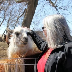 Meet your Posher, Mark